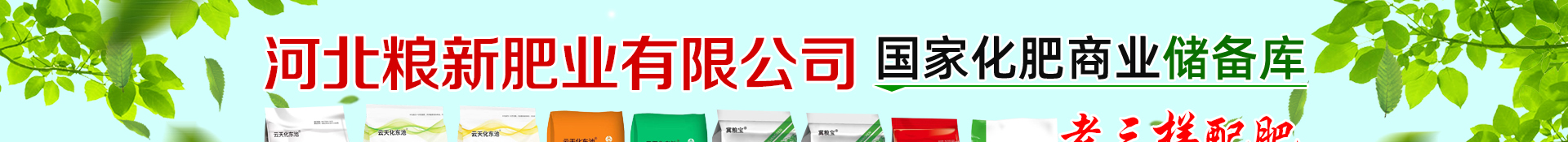 �ӱ����·�ҵ���޹�˾